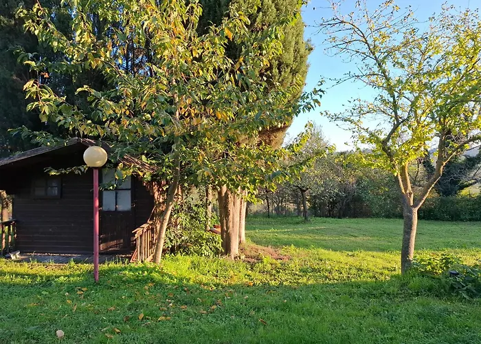 Franca Отриколи